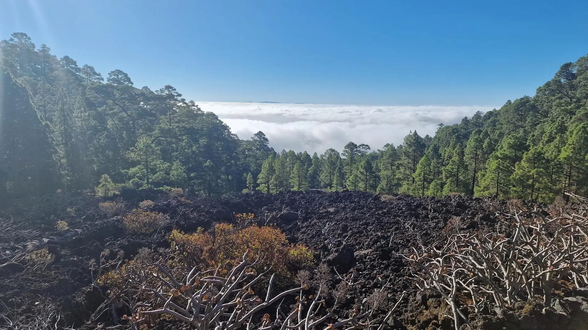 Campeggio Volcano Suite Experience Arafo